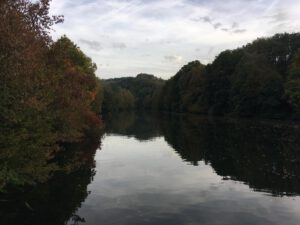 Niederdahl (1)