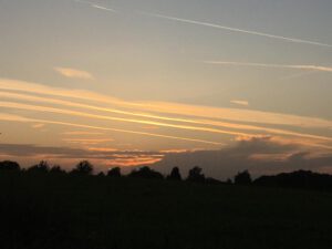 Niederdahl (3)