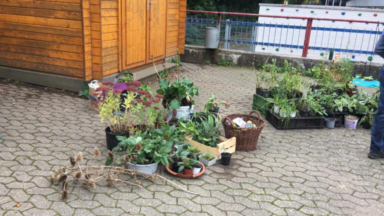 Pflanzentausch